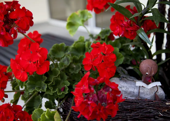 Restaurant Zur Windmuehle Hotel