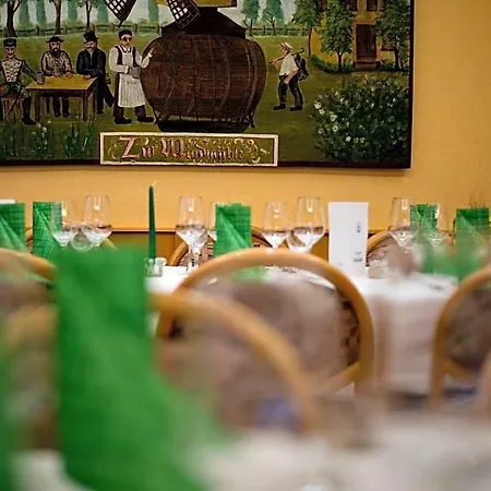 Hotel Restaurant Zur Windmuehle 3*